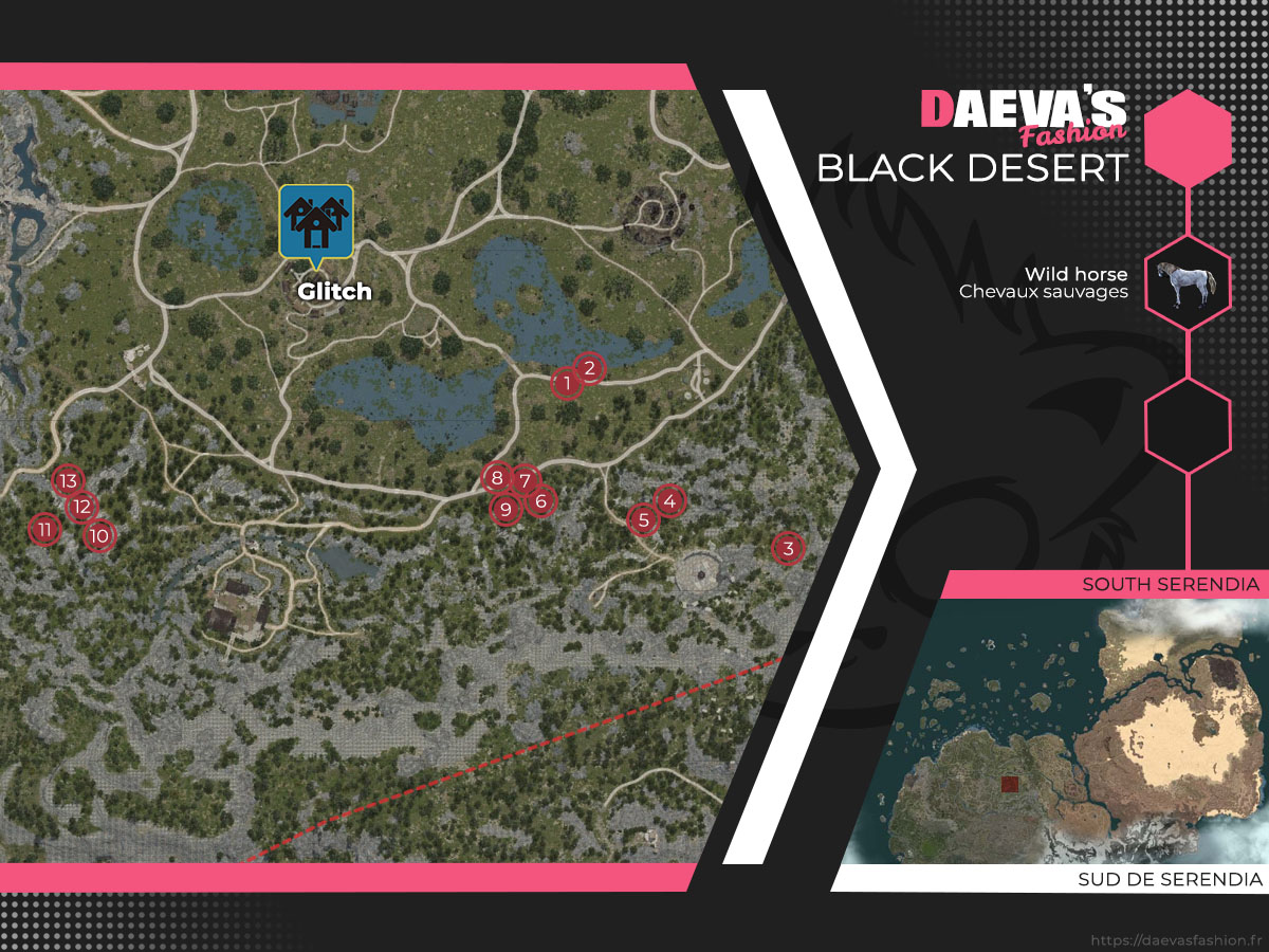 Chevaux sauvages : Localisation – Black Desert