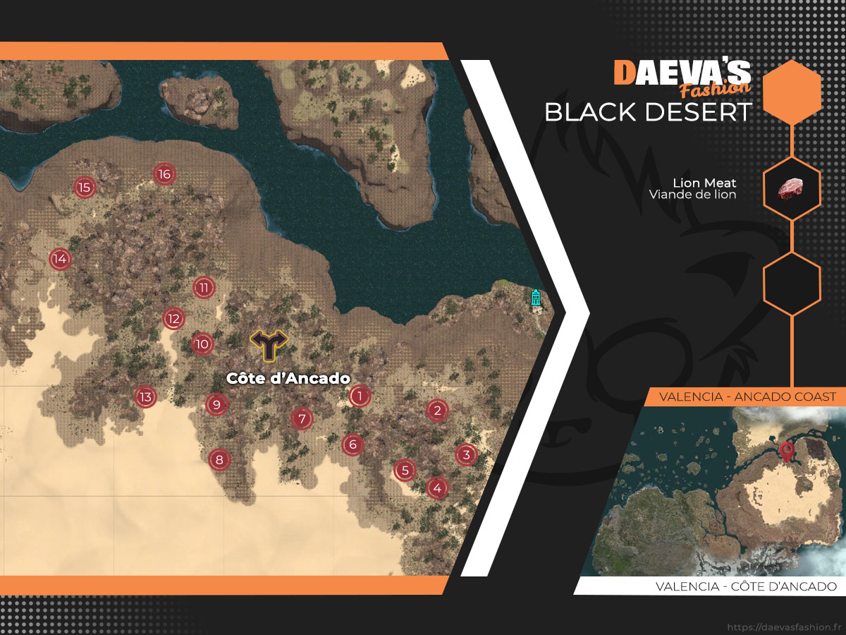 Viande de lion – Black Desert
